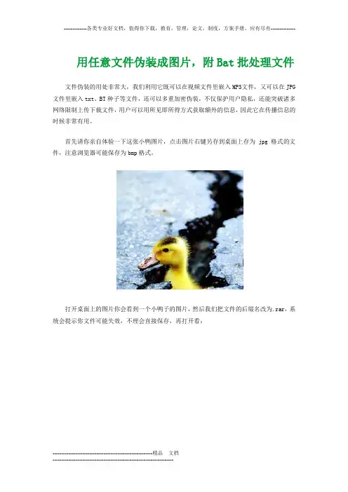 用任意文件伪装成图片
