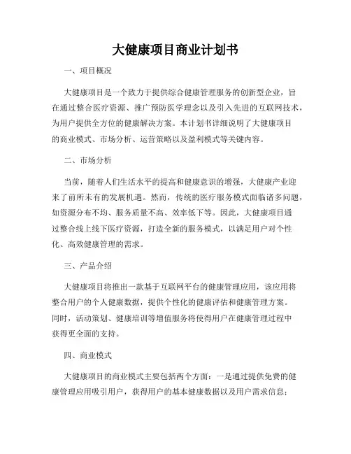 大健康项目商业计划书