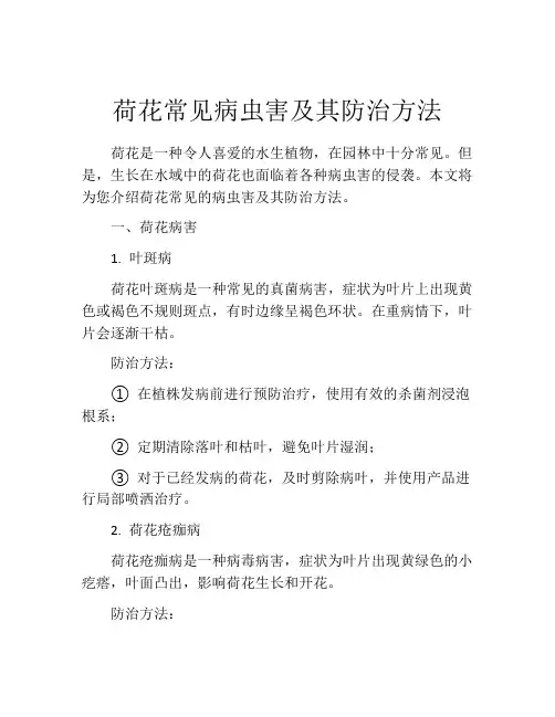 荷花常见病虫害及其防治方法