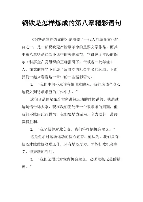 钢铁是怎样炼成的第八章精彩语句