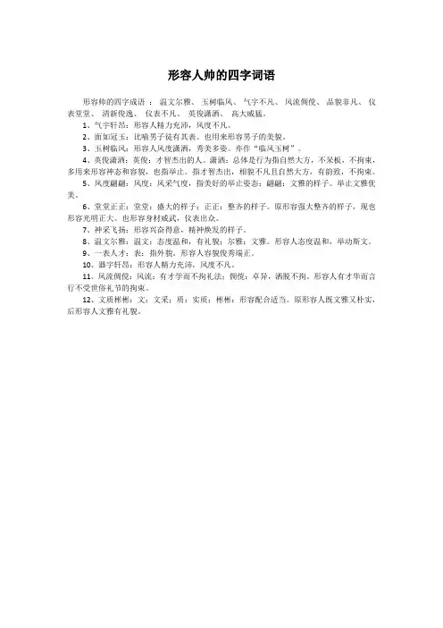 形容人帅的四字词语