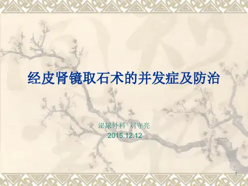 经皮肾镜取石术的并发症及防治PPT课件
