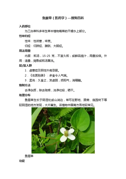 鱼腥草（医药学）—搜狗百科