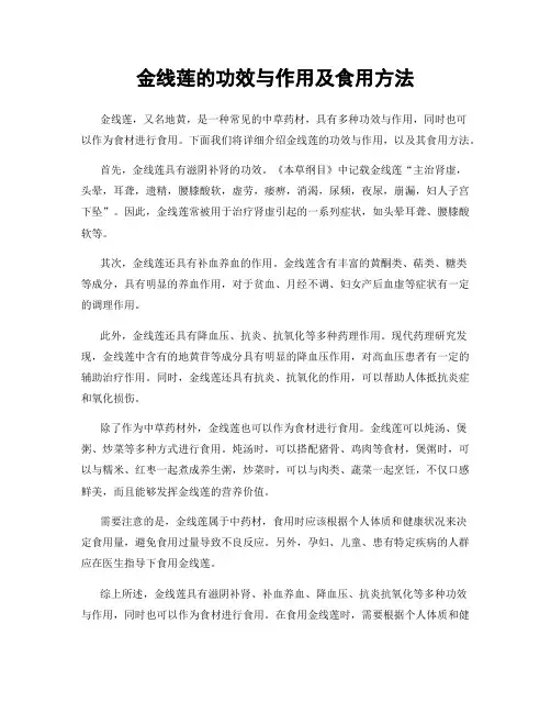 金线莲的功效与作用及食用方法