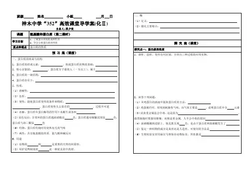 氨基酸和蛋白质学案(第二课时)