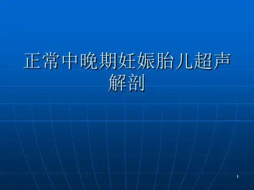 正常中晚期妊娠胎儿超声解剖PPT幻灯片
