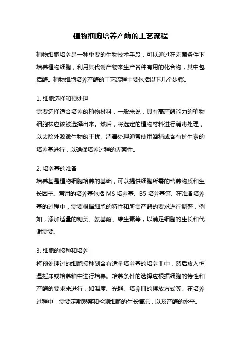 植物细胞培养产酶的工艺流程