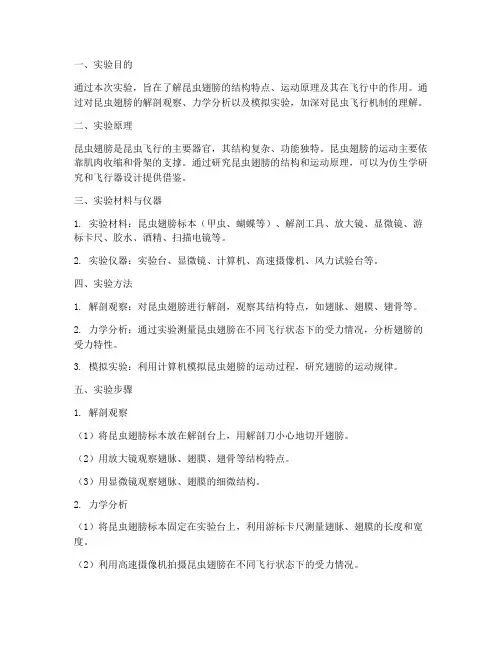 昆虫翅膀实验报告