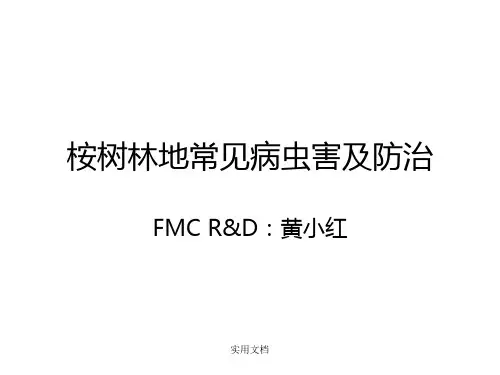 桉树常见病虫害及防治