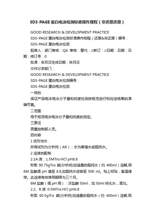 SDS-PAGE蛋白电泳检测标准操作规程（非还原还原）