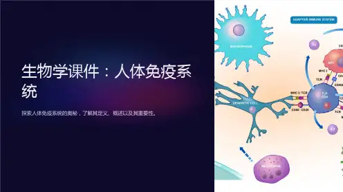 《生物学课件：人体免疫系统》