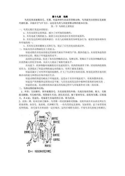 鸟纲