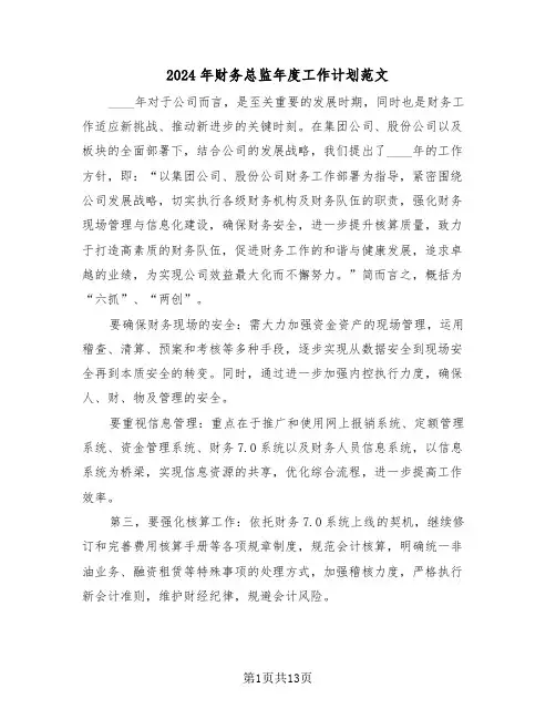2024年财务总监年度工作计划范文（五篇）