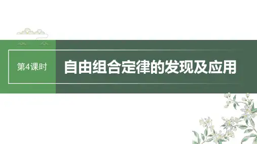 2024年高考生物一轮复习(新人教版) 第5单元 第4课时 自由组合定律的发现及应用