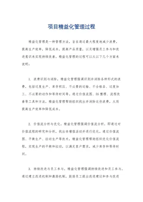 项目精益化管理过程
