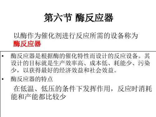 第六节 酶反应器