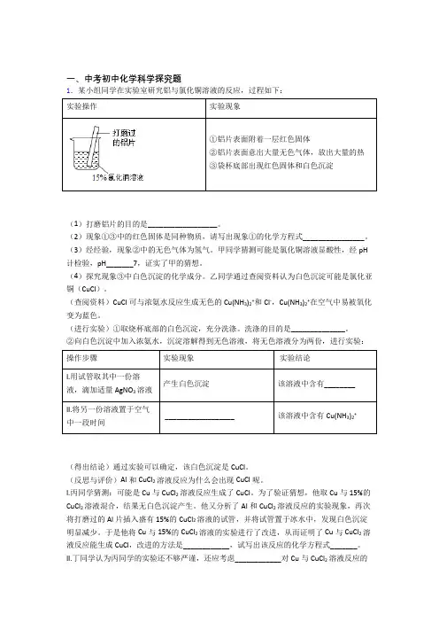 中考化学 探究题 综合题含详细答案