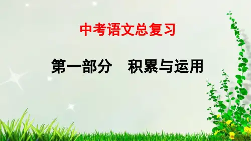 最新中考语文总复习——专题02 词语理解与运用