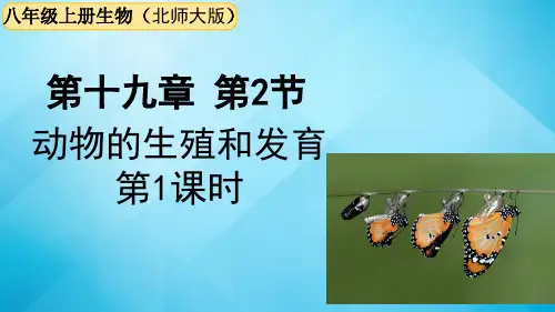 北师大版生物八年级上册   第19章 第2节  动物的生殖和发育