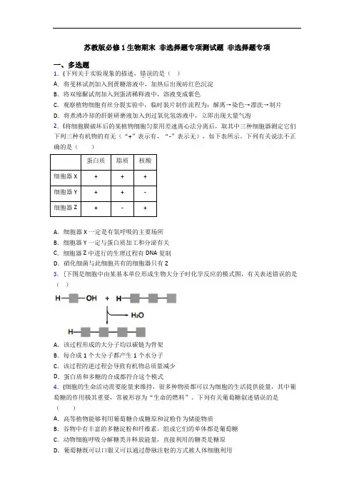 苏教版必修1生物期末 非选择题专项测试题 非选择题专项