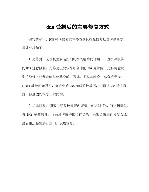 dna受损后的主要修复方式