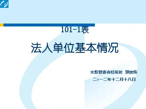 101-1表法人单位基本情况