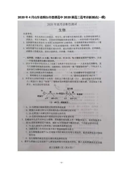2020年4月山东省烟台市普通高中2020届高三高考诊断性测试(一模)生物试题及答案
