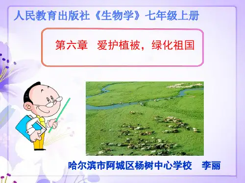 人教版七年级上册生物：爱护植被,绿化祖国