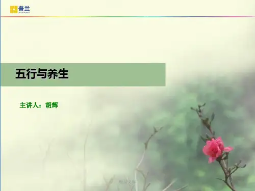 五行与养生(方案).ppt