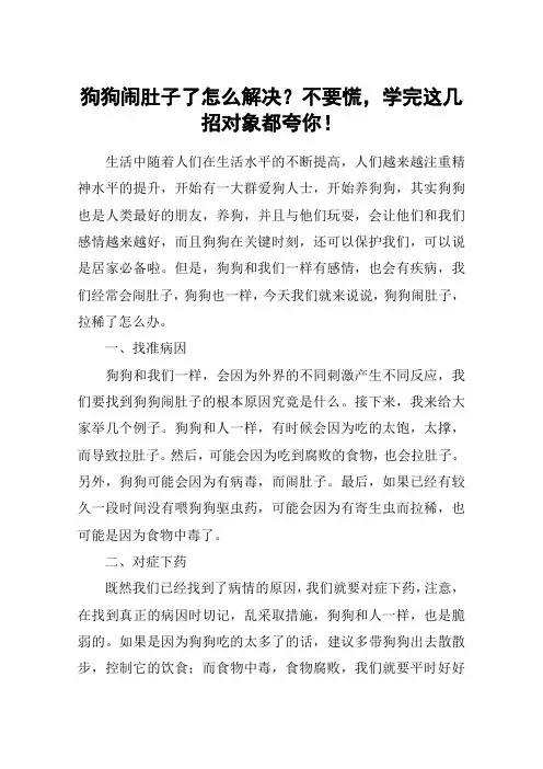 狗狗闹肚子了怎么解决？不要慌,学完这几招对象都夸你!