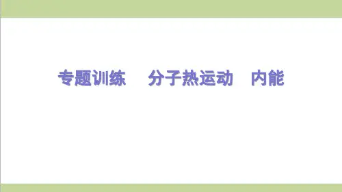 新人教版九年级物理(全一册) 专题训练 分子热运动    内能 重点习题练习复习课件