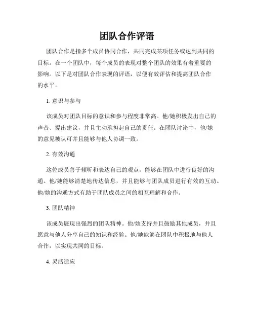 团队合作评语