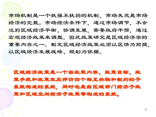 区域经济政策
