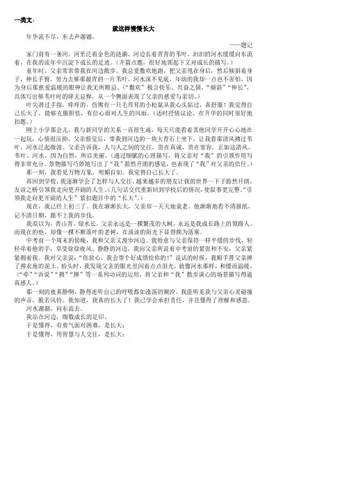 就这样慢慢长大 作文