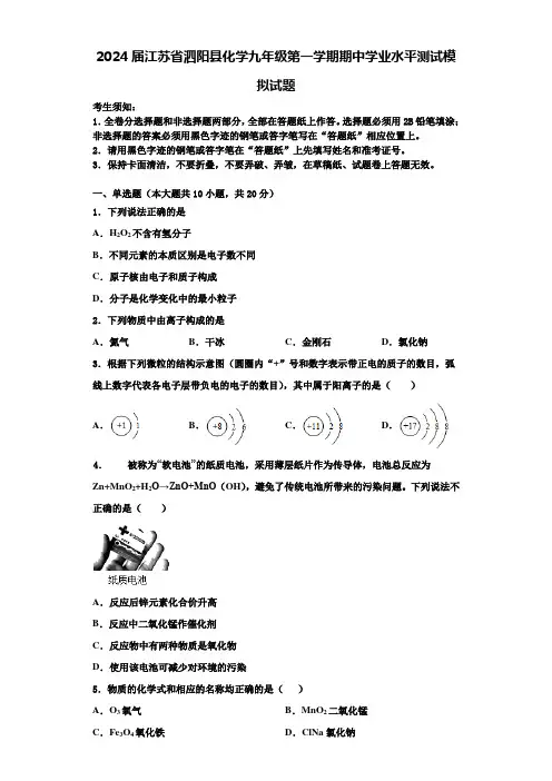 2024届江苏省泗阳县化学九年级第一学期期中学业水平测试模拟试题含解析