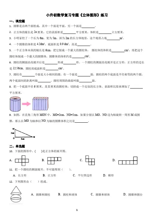 小升初数学复习专题《立体图形》练习及答案