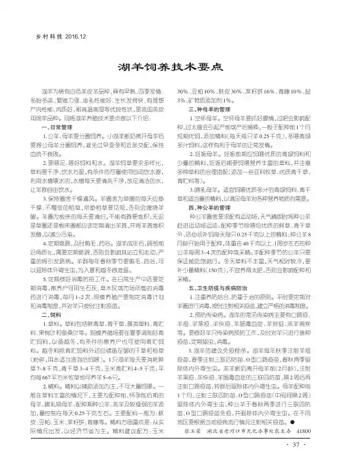 湖羊饲养技术要点