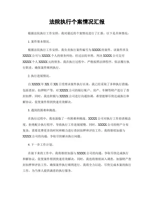 法院执行个案情况汇报