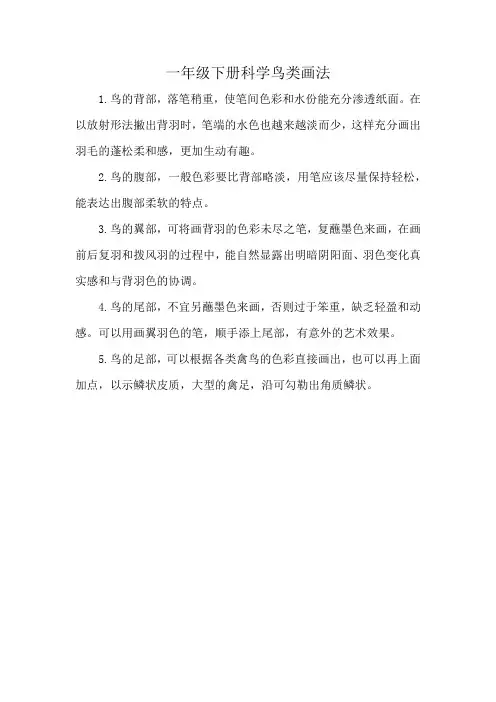 一年级下册科学鸟类画法