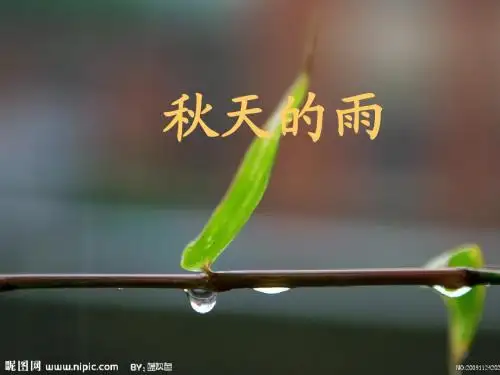 三年级语文上册11课秋天的雨