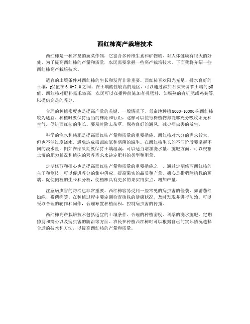 西红柿高产栽培技术