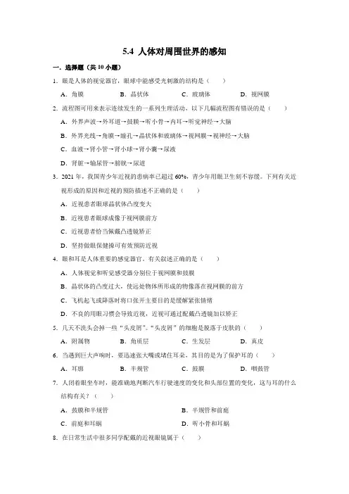 济南版生物七年级下册人体对周围世界的感知