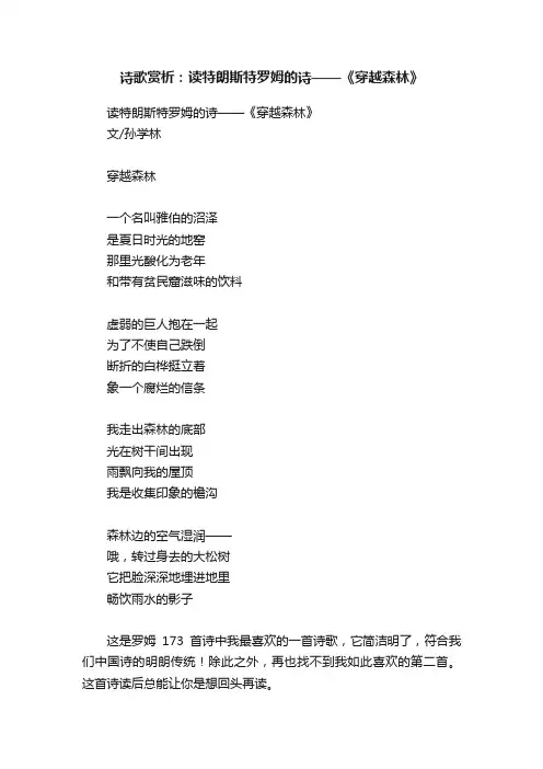 诗歌赏析：读特朗斯特罗姆的诗——《穿越森林》