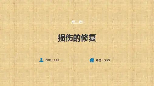 病理学第二章 损伤的修复