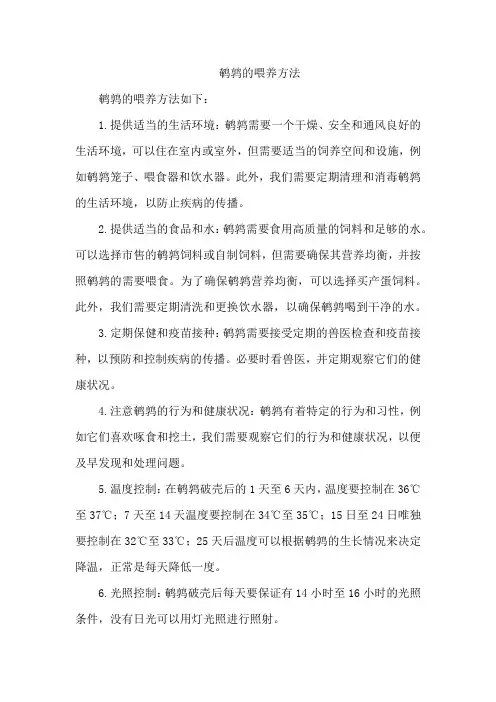 鹌鹑的喂养方法