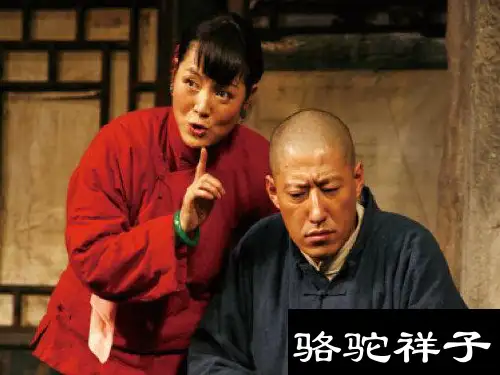 名著导读《骆驼祥子》圈点与批注