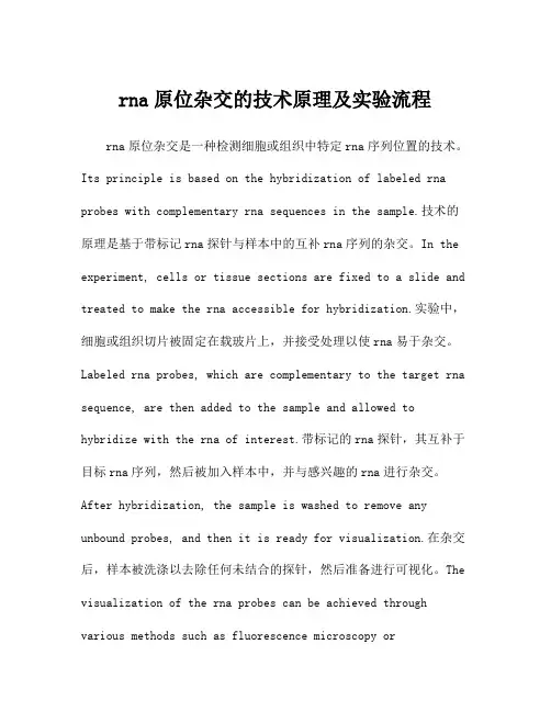 rna原位杂交的技术原理及实验流程