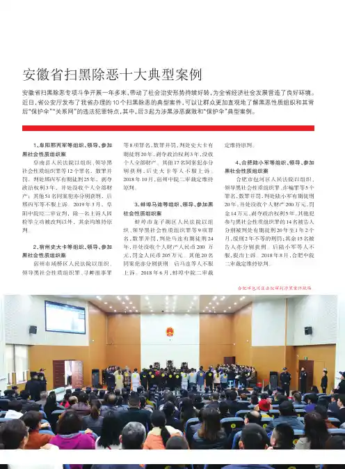 安徽省扫黑除恶十大典型案例