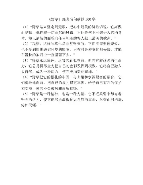 《野草》经典名句摘抄