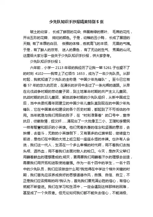 少先队知识手抄报精美特别5张